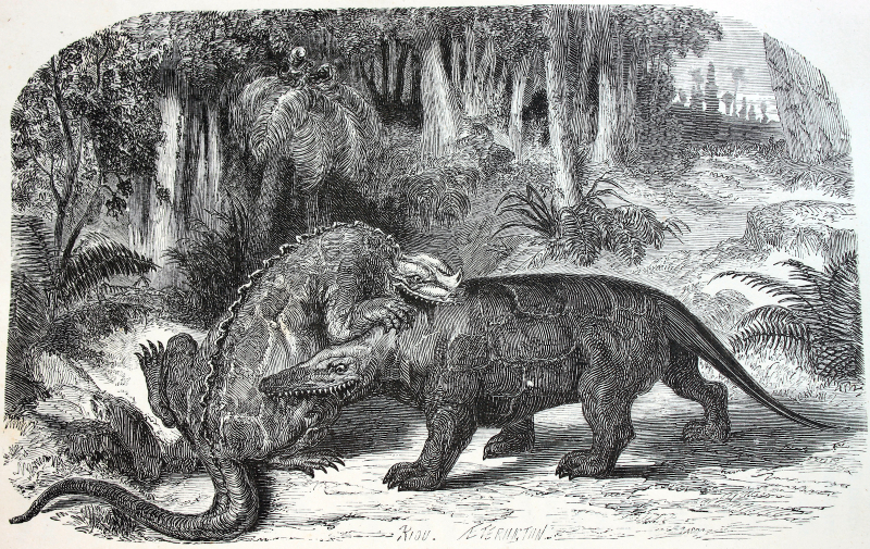 Illustration for article titled Strange 19th Century Drawings of Dinosaurs and Other Extinct Animals